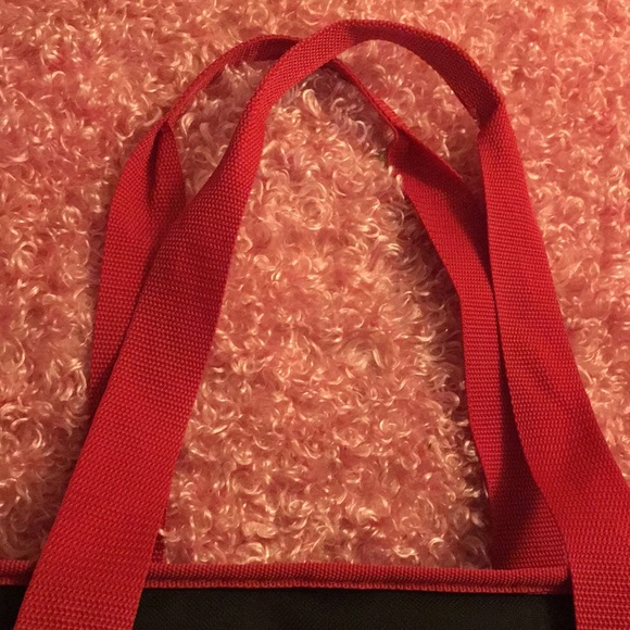 Trader Joe’s insulated Tote Bag - Picture 3 of 10